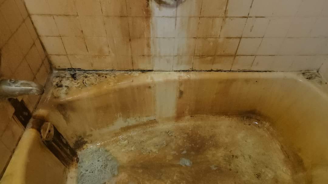 Caro's Removedor de Sarro con Atomizador de 32 oz